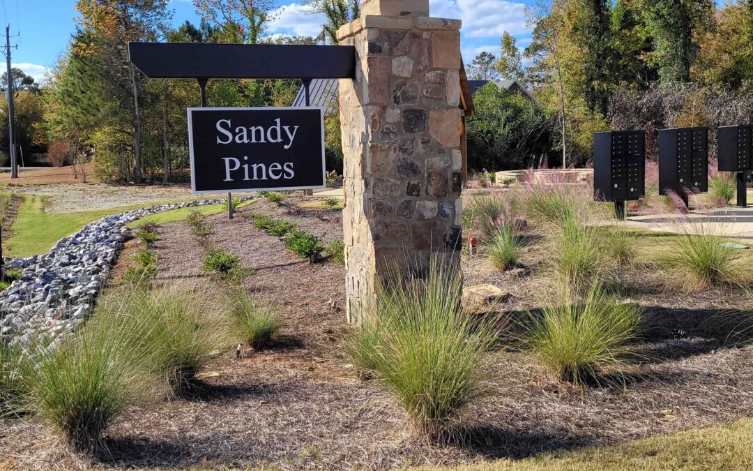 Sandy Pines